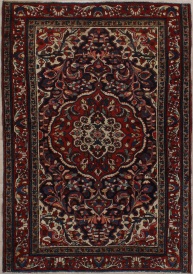 R3851 Vintage Bakhtiari Persian Rug