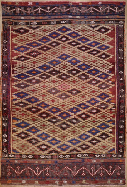 R8769 Flat Weave Kilim rugs