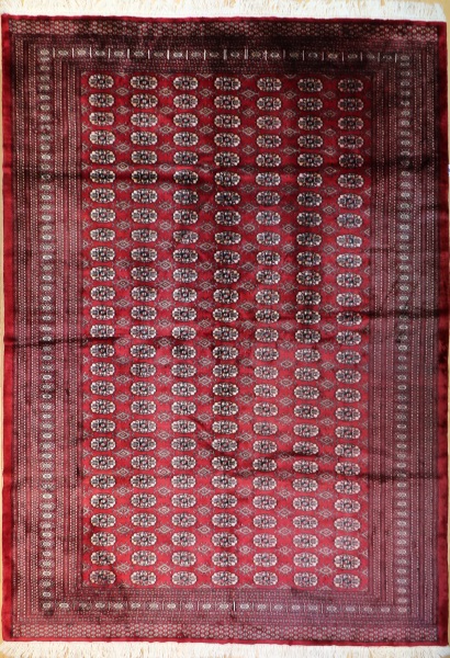 R8638 Traditional Pakistan Bokhara Rug