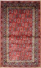 R6711 Caucasian Shirvan Rug