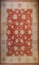 R8796 Rug Store Persian Ziegler Carpet